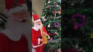 christmas🎄 ।# happy new year# shorts #garden #yt shorts