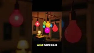 Lighting Trends: The Future of Interior Design