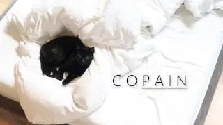 QUICKIE TUESDAY [COPAIN: the problem child]