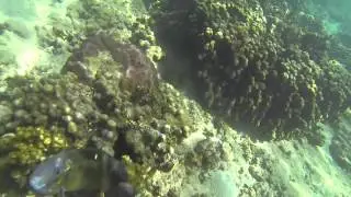 Geronimo 1280 x 720