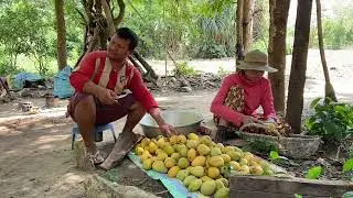 How To Make Sweet Sun Dried Mangoes