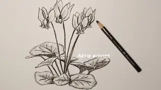 Drawing cyclamen flower with charcoal and pencil, how to draw