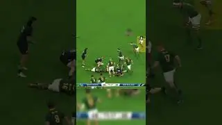 Willie le Roux deals the final blow to the All-Blacks 🏉