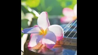 Sea And Sand / Pua Ohana