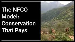 Ndoto Forest Conservation  Community Led Climate Solutions