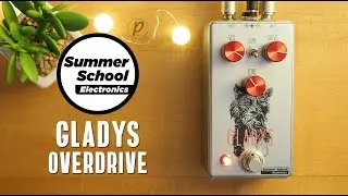 Summer School Electronics Gladys Overdrive