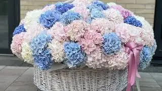 Luxury Hydrangea Installations Dubai | WOW Flower Delivery | @FlowerPowerDubai 