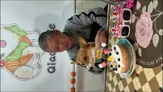 What's the BEST Way to Celebrate Your Dog's Birthday