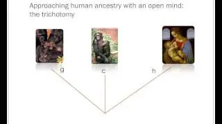 Becoming human, Leaving Africa and Mating with the neighbours