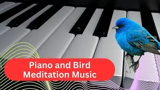 Beautiful Piano And Bird Meditation Music