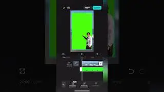 &iquest;C&oacute;mo borrar la pantalla verde en CapCut?