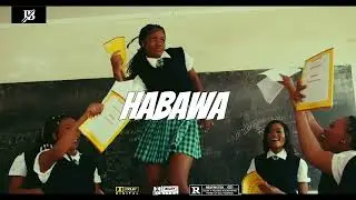 &ldquo;HABAWA&rdquo; Diamond Platnumz type beat | Amapiano instrumental 2025