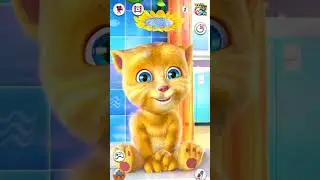 Cat sound meo meo 😂😂 Amazing cat voice