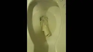 flushing toilet seat covers at Walmart