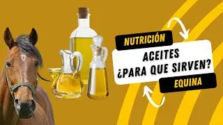 &iquest;PARA que SIRVEN los ACEITES en CABALLOS?