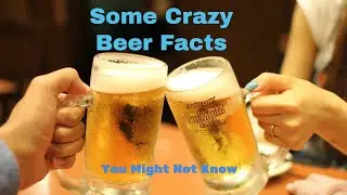 Crazy Beer Facts Not Many Know (Beer lined up behind locked cabinet)