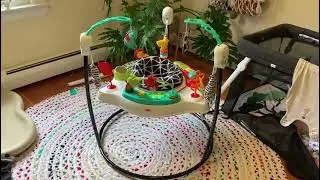 Fisher-Price Jumperoo Activity Center - Tons of fun!