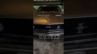 1969 Ford Mustang 302 V8 in Sri Lanka 🇱🇰#Ferrarinameek #mustang #mustangs #classiccars  #srilanka