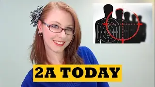 Gun Control Media Bias, #NoMoreBlackTargets | 2A Today