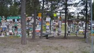 Sign Forest