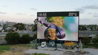 Whitten Oval Scoreboard | LED & Digital Display