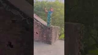 January 8, 2026 #short video#मझौली बाग कहां है#Bhojpuri dance trending song wali video