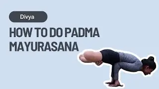 How to do Padma Mayurasana (Lotus Peacock Pose): A Journey of Balance and Control | Yoguebook