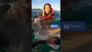 Terrifying Great White Shark Encounter Caught on Camera#shark #ocean #scary #thriller #GoPro