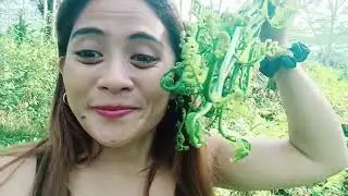 GETTING WILD FERN (PAKO) FOR BREAKFAST,MUTYA BALILING| #WILDFERN #PAKO #FROMWILDTOTABLE