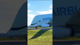 Unbelievable! The giant Airbus Beluga takes on an extremely short runway in MSFS 2026 and still lift