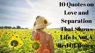 10 Quotes on Love and Separation That Shows Life Is Not A Bed Of Roses