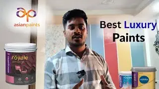 Best luxury paint For Your Interior Wall 🧱💯
