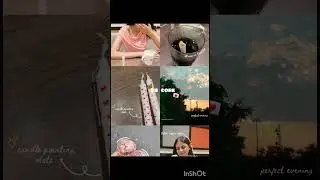 Pinterest inspired instagram story ideas🦢🌸🌻✨