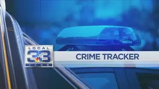 Alleged thieves hit person with stolen car