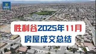 胜利谷2025年11月房屋成交总结报告