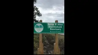 Helen & Allen Cruickshank Sanctuary Brevard County Florida Nature Trails Scrub Jays