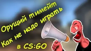 Орущий тимейт или история о том как не надо играть в CS:GO