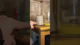 Hobby E-waste, it's a shocker,  no acids