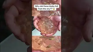 Why did these blobs fall from the sky?? | The Oakville Blobs