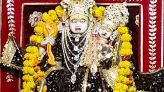 Shri Laxminarayan Mandir | Laxmi Narayan Temple | Shri Laxmi Narayan Temple 😲🍀