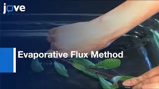 Measurement: Leaf Hydraulic Conductance & Stomatal Conductance l Protocol Preview