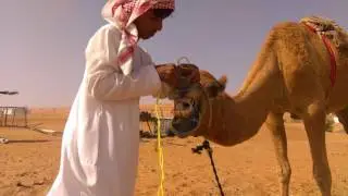 Wahiba Bedouin Rustic Camp - Bidiya - Oman