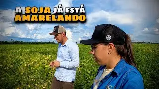 Última aplicação de FUNGICIDA na SOJA BÔNUS