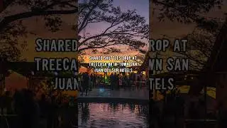 How to Get to Sanctuary Music Festival | TreeCasa Resort, San Juan del Sur Nicaragua