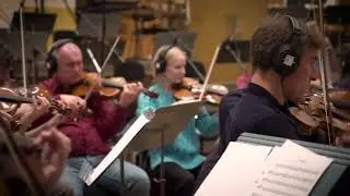 Call of the Dolphins &ndash; IMAX film &ndash; Czech Orchestra &ldquo;Tagging&rdquo;