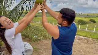 LEÔNCIO APRONTA COM IRMÃ NO PÉ DE COCO 🥥 ANÃO | THAMIRES THUANNY