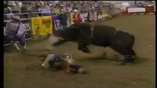 Rocky bucks Brock Mortensen - 98 PBR Billings