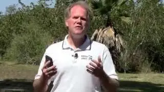 SEO Clearwater, SEO Tampa, SEO St. Petersburg, FL. Video SEO