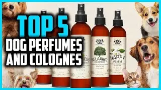 Best Dog Perfumes and Colognes On Amazon