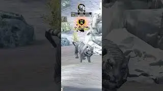 Tiger Hunting Part -3 😭😭 Video Game आओ सभी लोग, #tiger #fox #bear